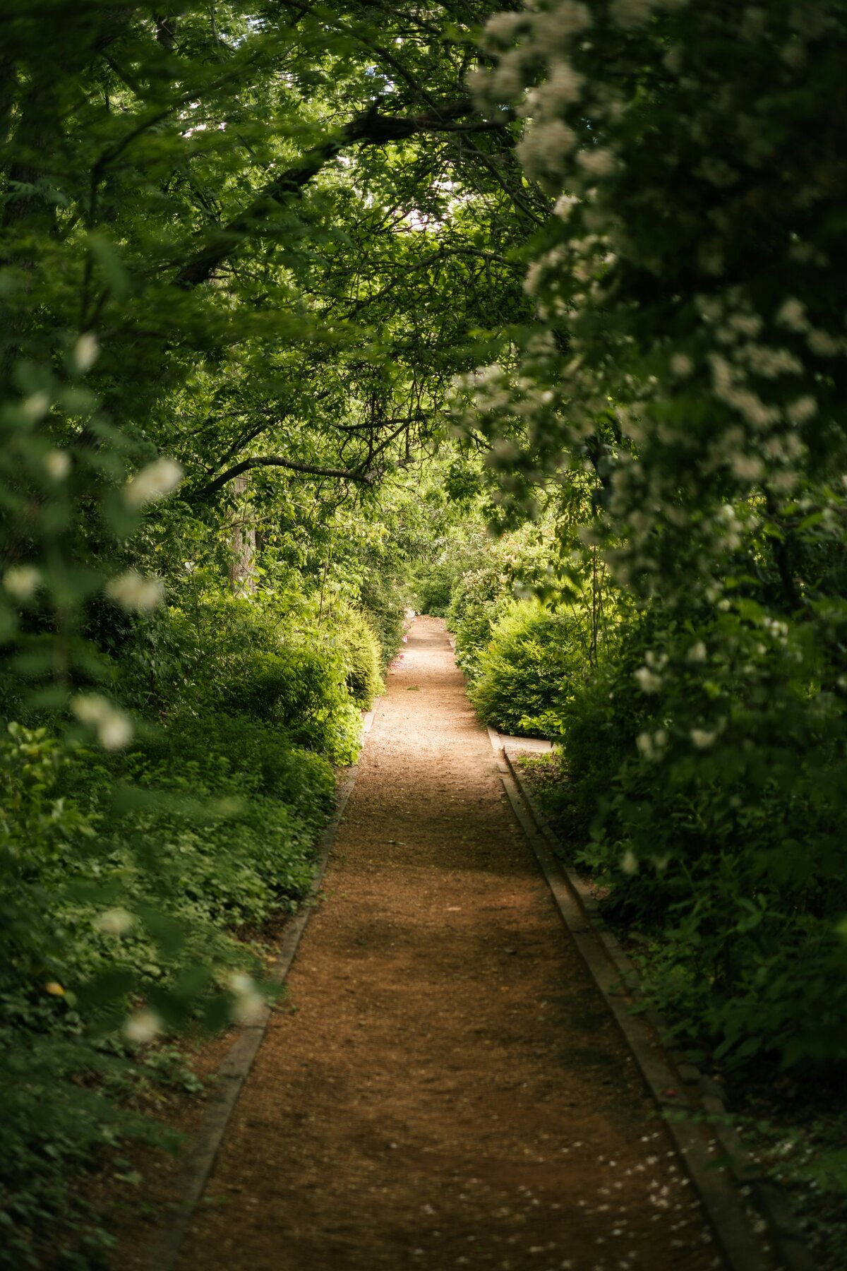 A peaceful path forward